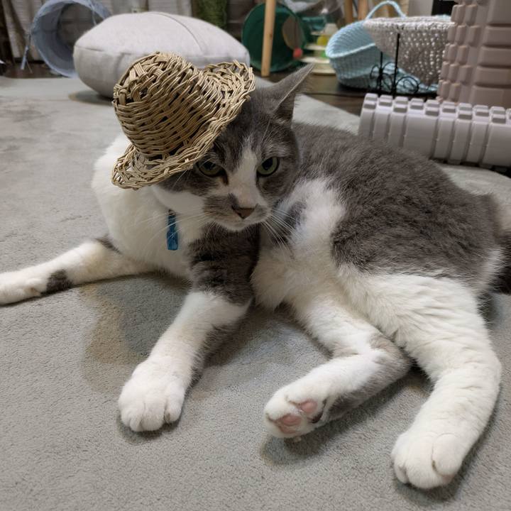 37912886 02f3 4dd5 814a 02e43d4100e4 1752669128069