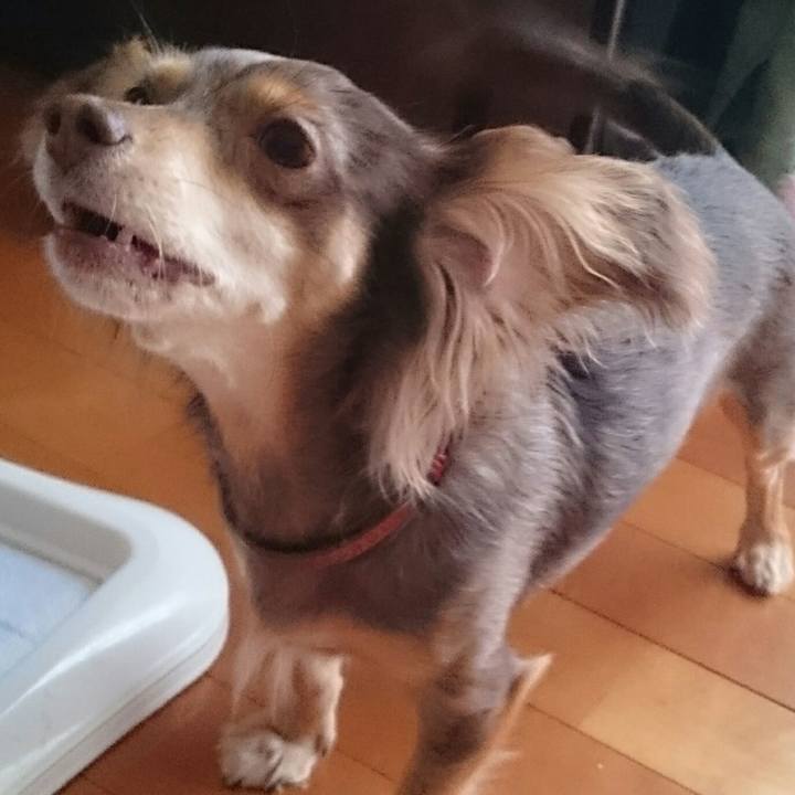 37917d70 cdbf 47bb aad9 16484afc99ab 1511392846478