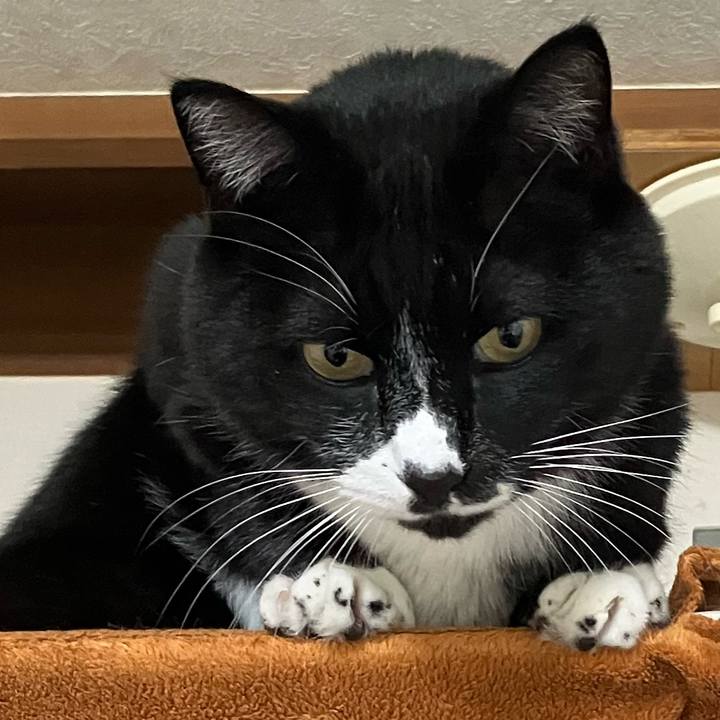 3791810f ee05 49d4 b75e 7bee54798bdd 1771211432848