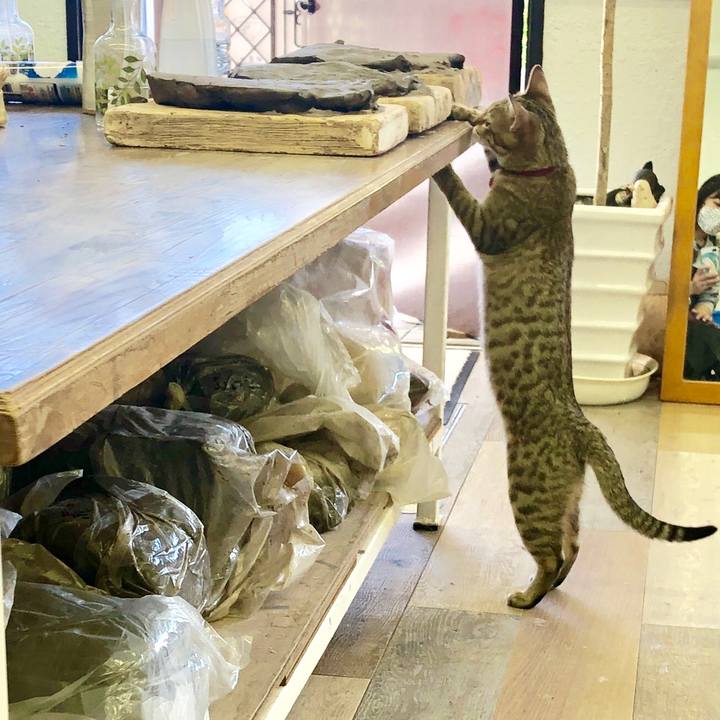 37918c3d f947 497e 8107 fe31b911ce25 1584753007972