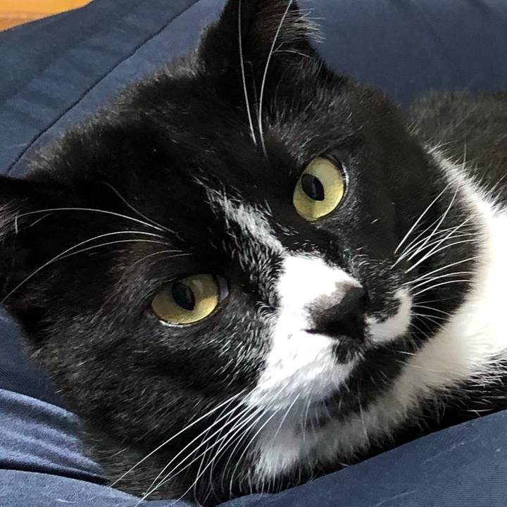 3791accb e21b 4d5b 8a53 b6857dcd4768 1658551814789