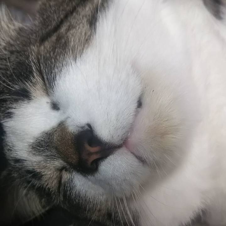 3791dba2 a612 4b30 8a91 8d33bc475b63 1615827214167