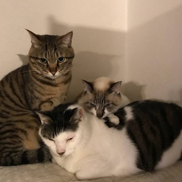 3791e097 08ff 469c 8c74 57debe57fd66 1525771928500