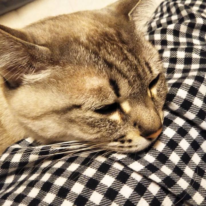 3791f8db 46ef 41ff 8785 cfe71b1a9cd5 1553351707714