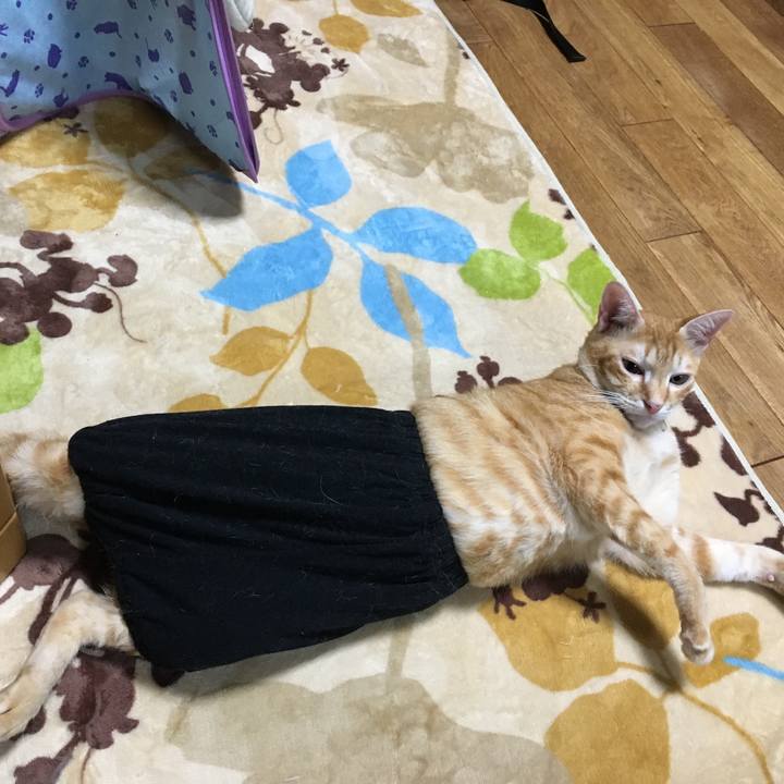 37923aa2 76b9 4d92 b2a2 2a05feb91f72 1508252213488