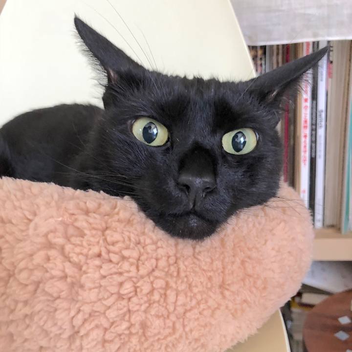 37923ba6 0c66 44b2 bd37 5d7b8431a28b 1525400756353