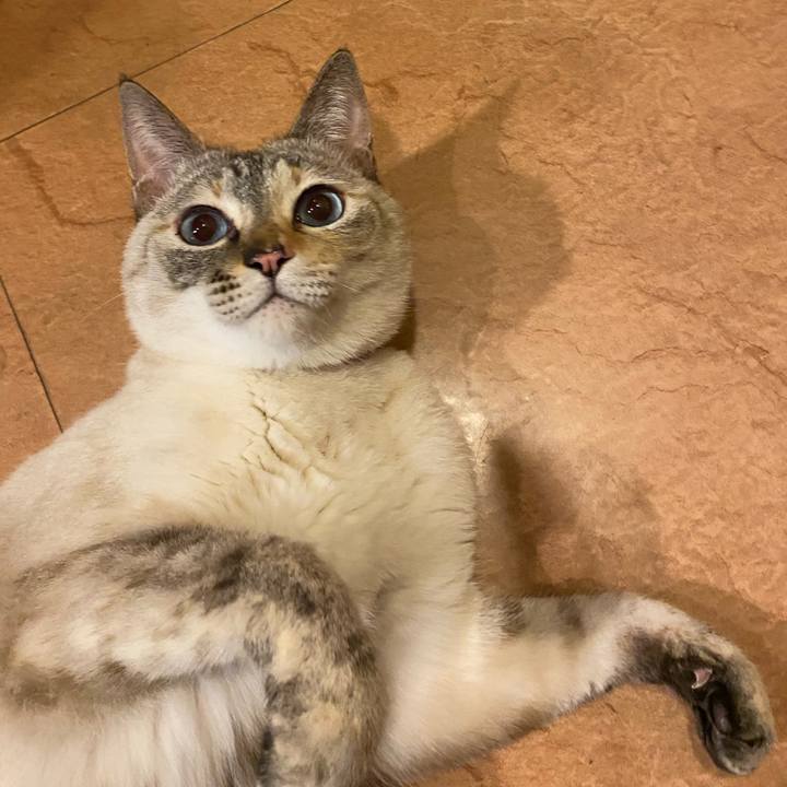 37924bd7 97a8 431f a06c fa8406ca372f 1707124764937