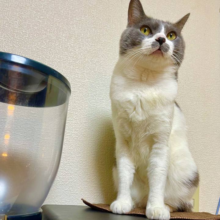 3792a1ee 6dd7 4b7d ae8c 83658def6ac2 1638005567538