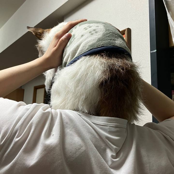 3792ab3e 99f7 44d7 8b91 1fccee9836af 1714000726246