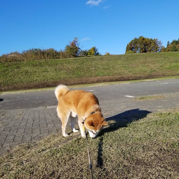 37931cb2 8fc2 4318 ae14 0c4d4faedce4 1636178895902