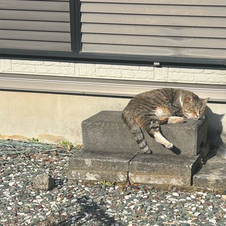 37932226 e6ee 4b80 ba87 043a4290adec 1767172816230