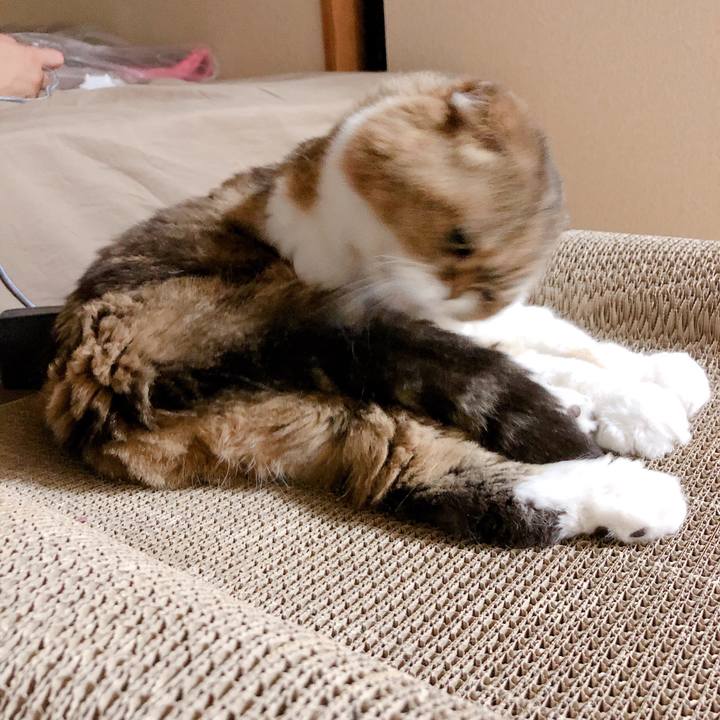 37934f9c 1bf7 4801 9ea8 4edf7ea3ee88 1564587627618