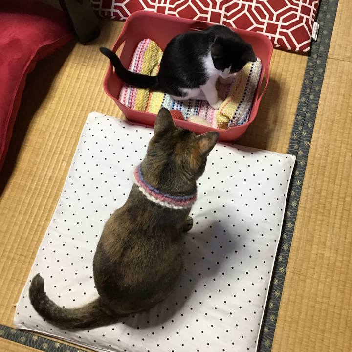 37939394 b3c0 4645 aaeb c56e86935f8d 1626600480783