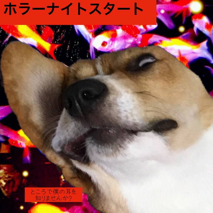 3793ab48 8c7b 4d46 83d9 55a89d0a5d0e 1598690651083