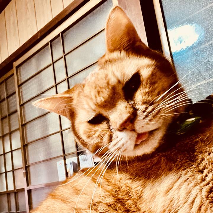 3793cf46 45a0 4024 89ab 322f8f0f25c5 1765977304427