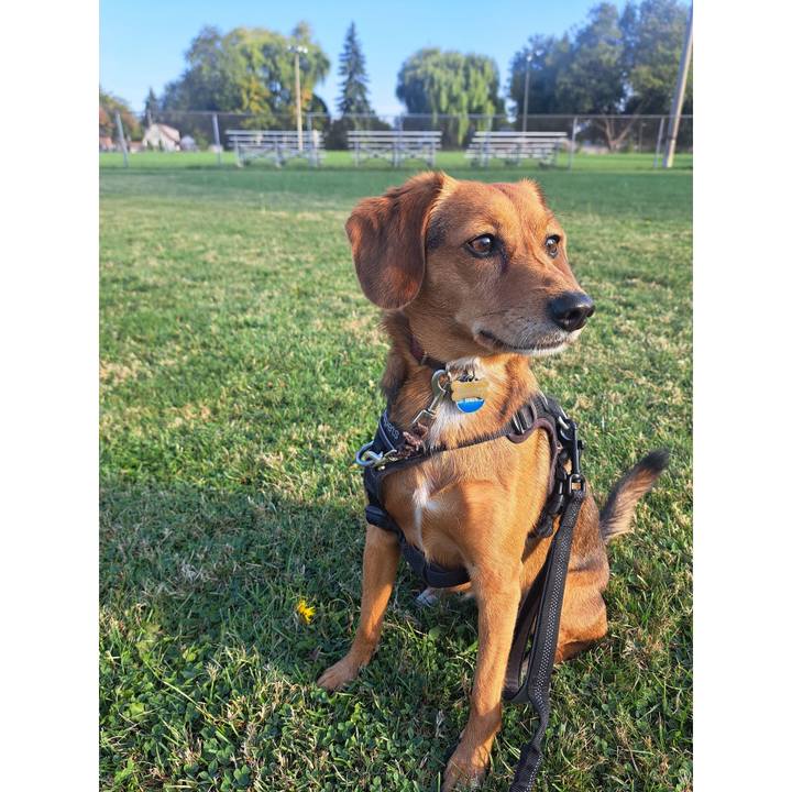 3793df6a b4b5 470c 8b7d 7b2d5e3cb3ed 1757767385372