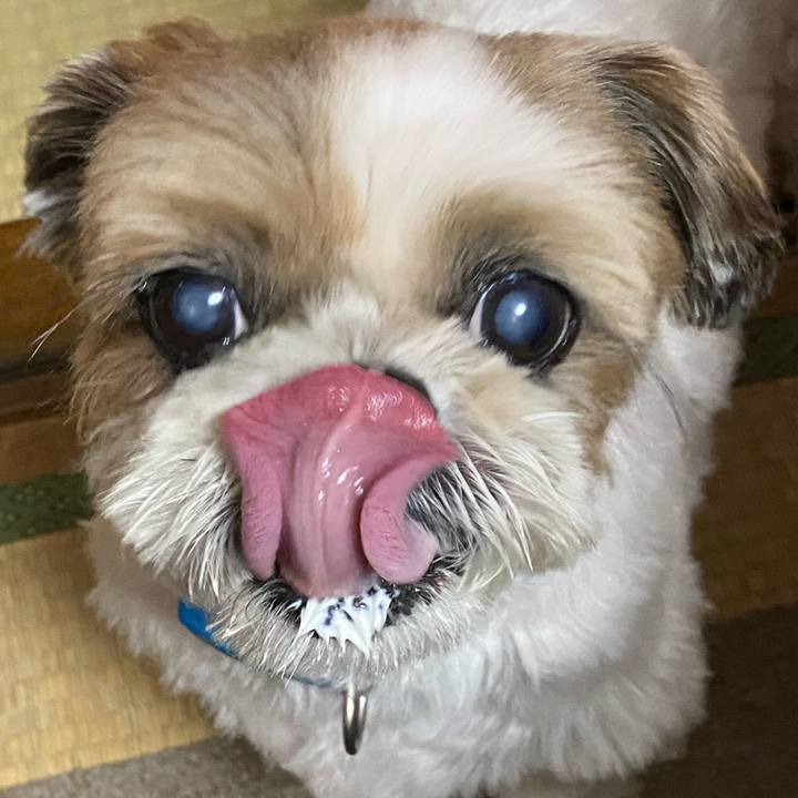 3793e265 37b3 44c1 9d19 35a03ab0a309 1631790191548