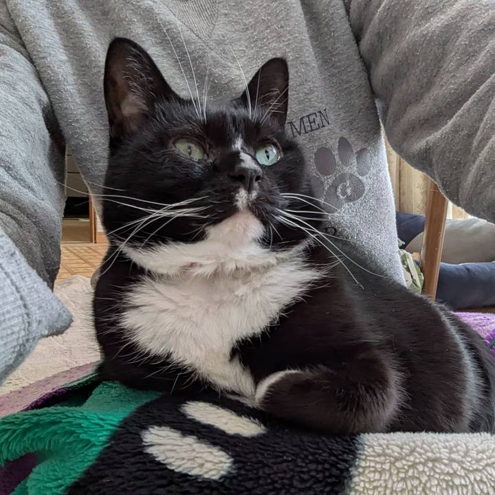 3793edcf 2e7d 4597 b34f da17185aa34a 1769908236271