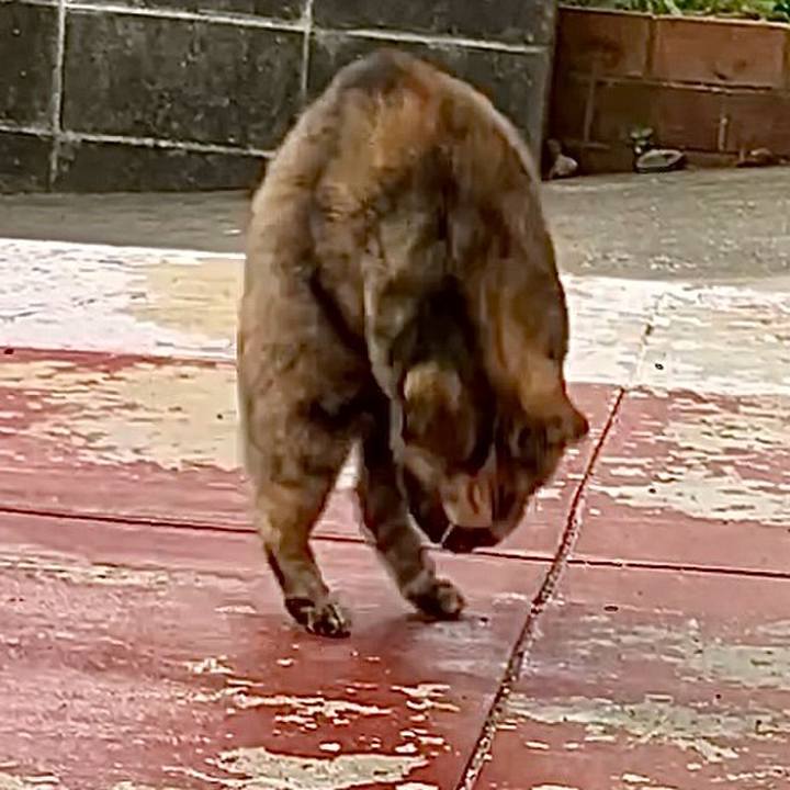 3793fc20 9941 4bd2 8ea4 328ade51f657 1730346664595