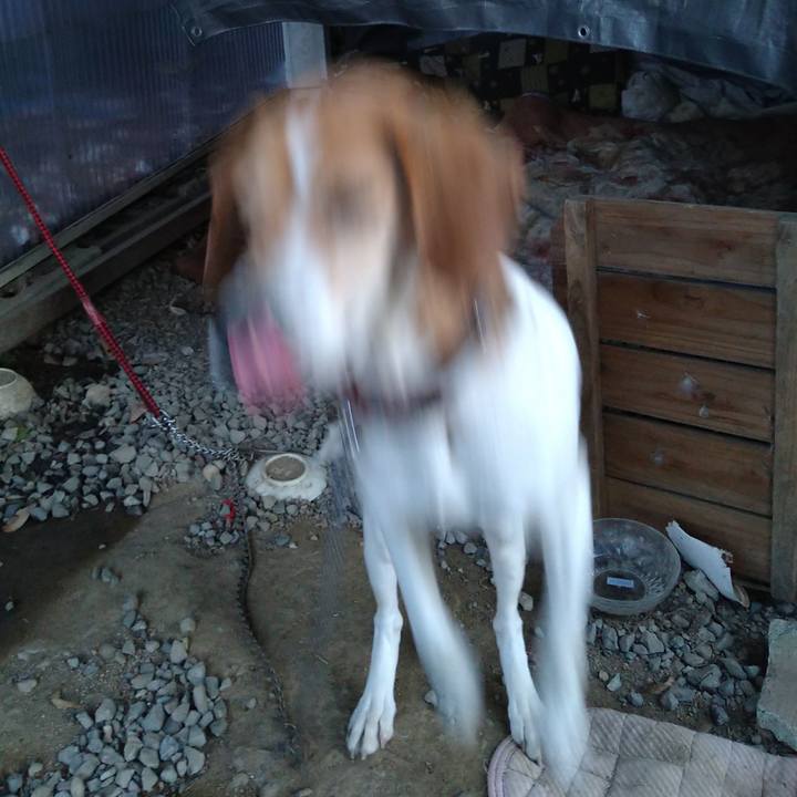 37942f64 b80b 4bb7 b9ca 1e3c55352950 1647942393408