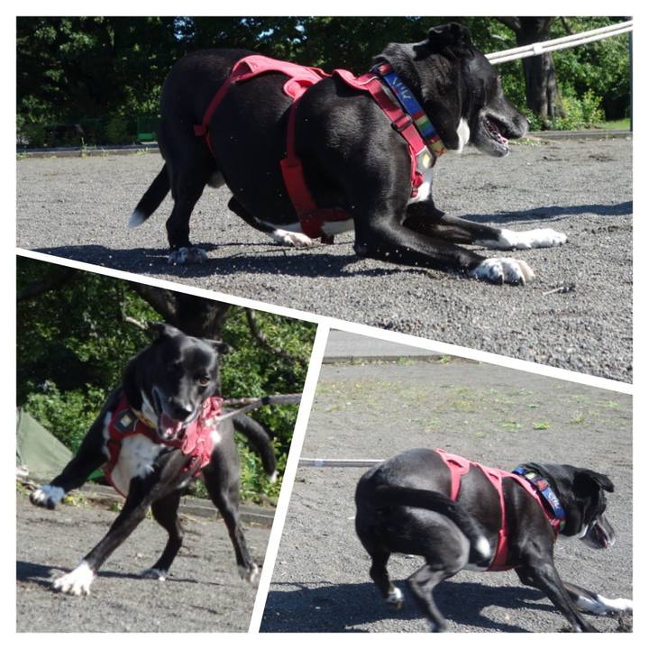 379443f3 3f7e 4a9d 93c4 531c5c474f80 1684888058768