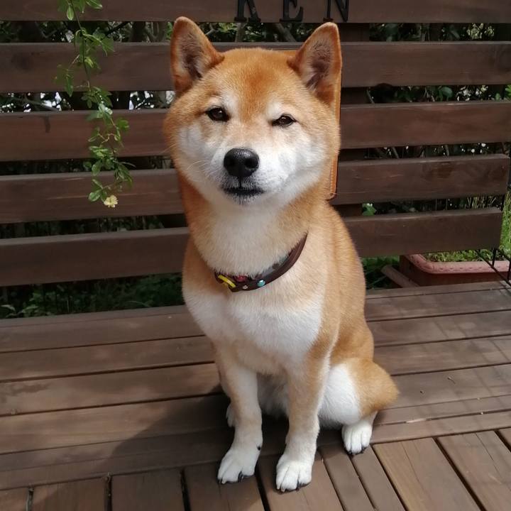 379488ad 3c8f 4ae8 a159 58b05ce561b9 1650510147565