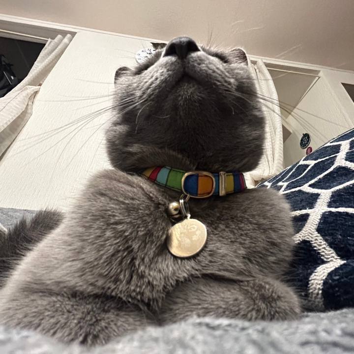 37948c17 9c3e 47c0 a95c afef83a6b407 1698660941947