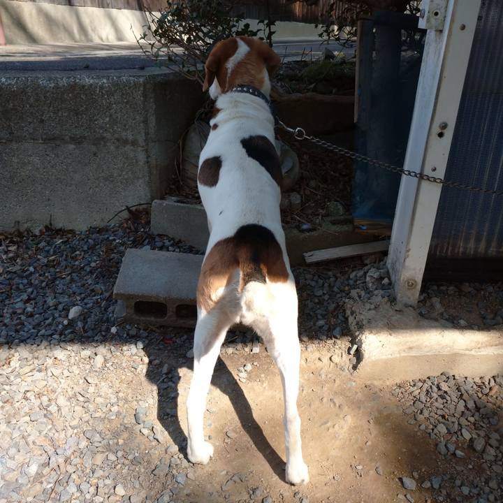 3794b888 67d1 4161 a447 e70896ecb03d 1613831124817