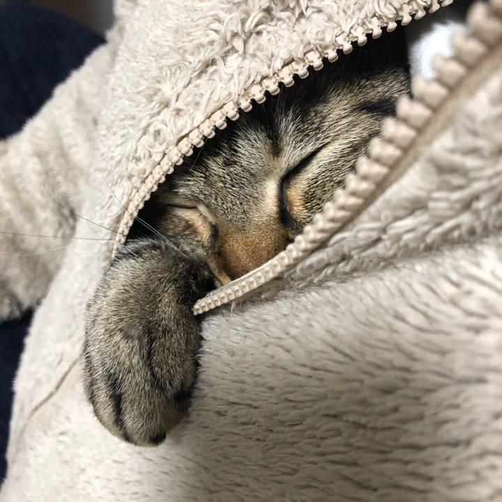 3794d484 f1d1 4519 b464 bea68029fdd2 1550573856310