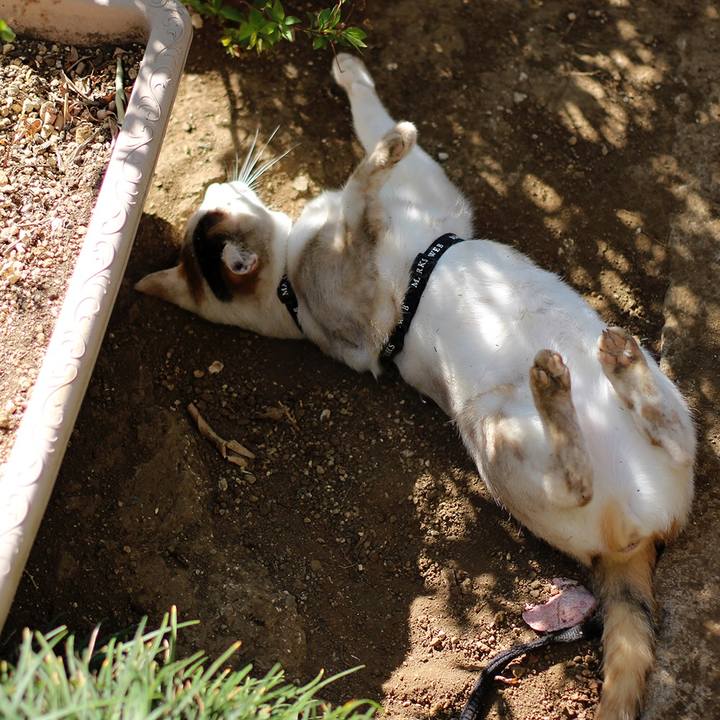 3794e731 ccdd 4c7a 803c 687493c46c66 1557445456658