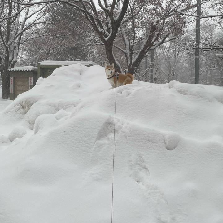 3794f1e1 26b1 4322 a9af e841cd67e7d0 1611883596880