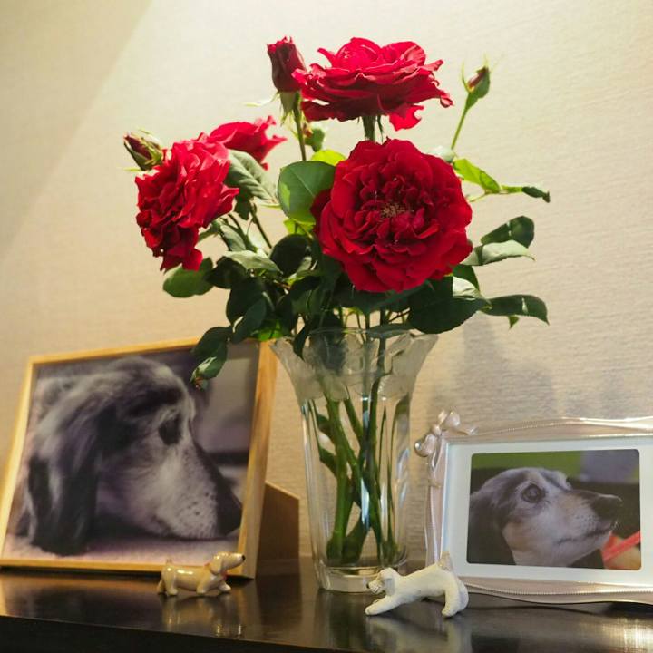 3794f7b1 0b21 43cb b4fa f53d38f82e3a 1524968016808