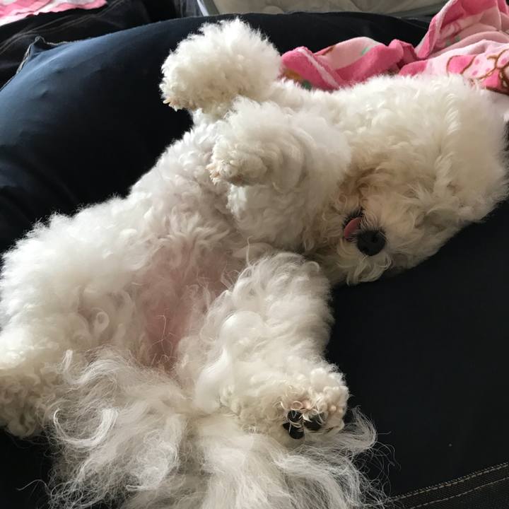 37950b3f 067a 44f1 a246 a8fa525bff2d 1539655915165