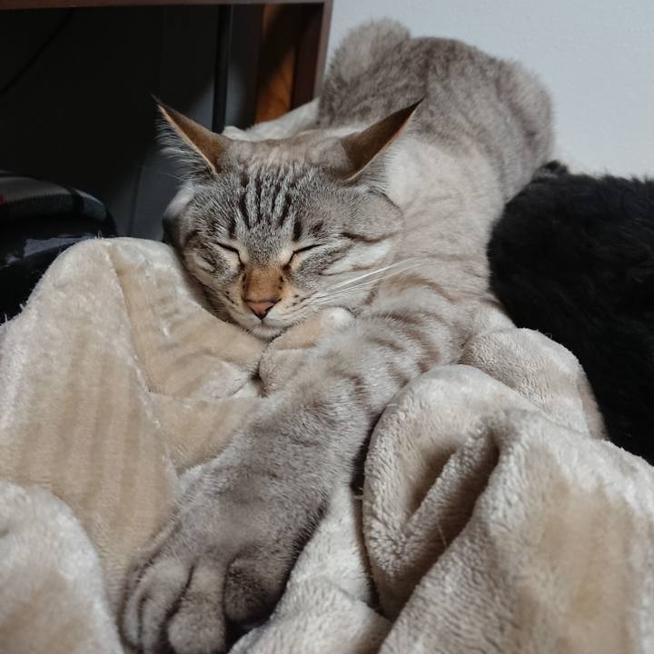 37951a14 ed0d 4f27 8701 ace21b3b6e6a 1547991505655