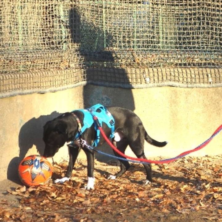 37953641 a029 4c68 a6f2 6cf12626e087 1610496093420