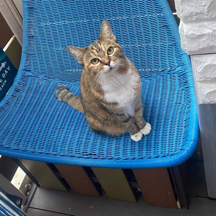 37956923 10b2 49fb b6ee 31201604afae 1699078728458