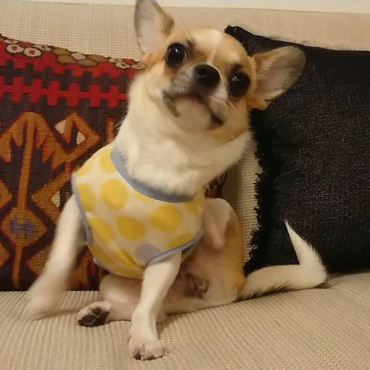 37957014 9d8d 4b25 b38d 1071c007b1d8 1537957534168