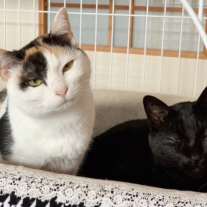 3795856e 7b12 42b5 b675 35c45a59d169 1550111660031