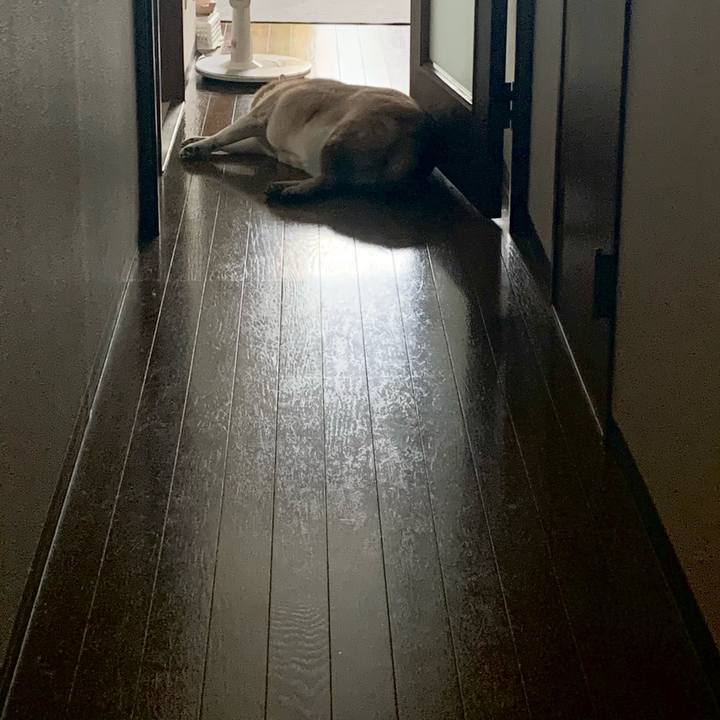 3795d73f a07b 419a 9891 b676139c40b7 1606118167261