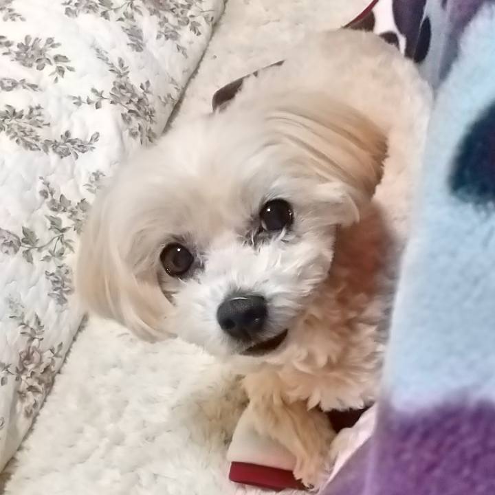 3795d7a6 4013 4722 b7aa 9ef2cfd39406 1583056613847