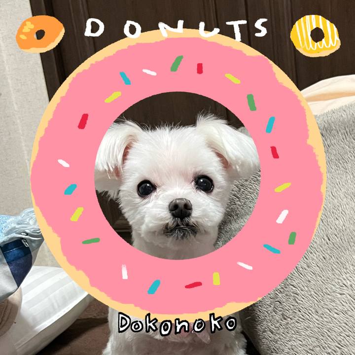 3795dab1 b9d6 400f af40 946eb9bc47ab 1744282851561