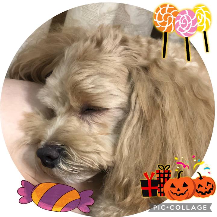 37961fe1 72b2 4280 b5f2 302a0b59494c 1667136324915