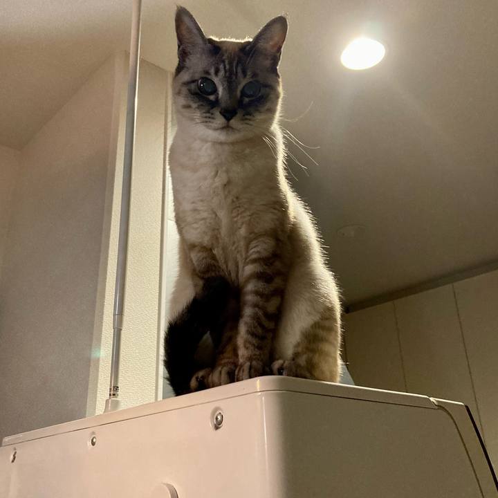 37967827 8f50 4104 9ac4 38e5334622c4 1674823815109