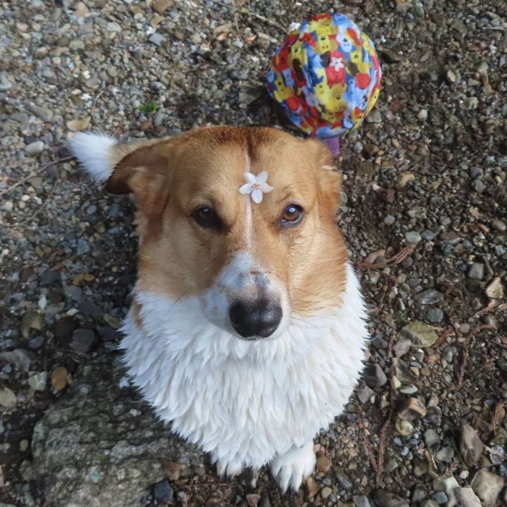 3796c566 ae62 4626 8972 e2395a12dfc7 1717458049779