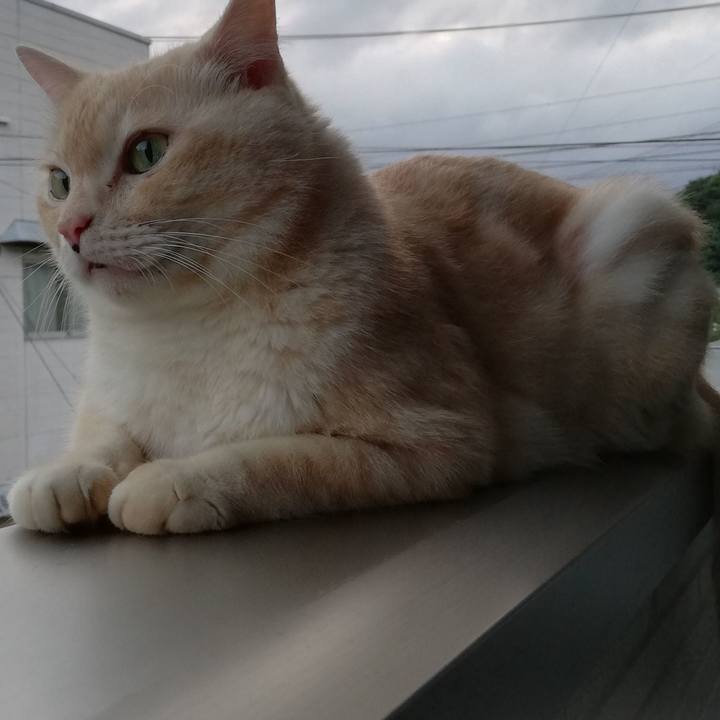 37970068 6d05 42cf 98f5 504ccd245960 1690413334722