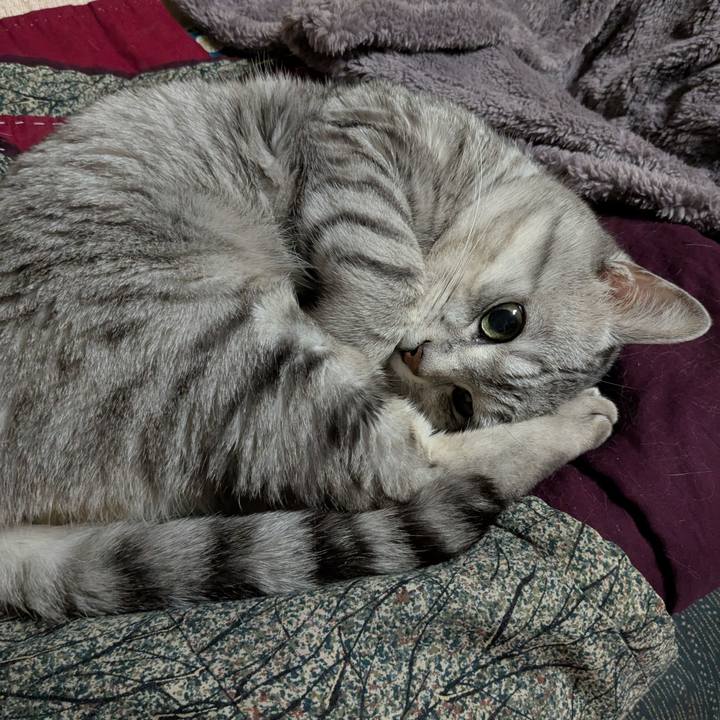 379707bc 074f 4b08 9dec 2610a4430a50 1743734319566