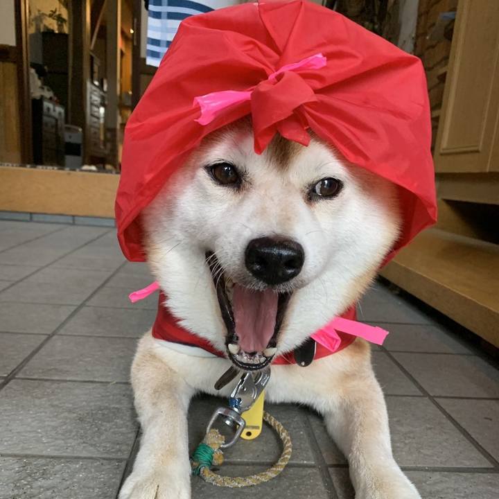 37971afa a24d 4205 b4af 666c7043453b 1633066776869