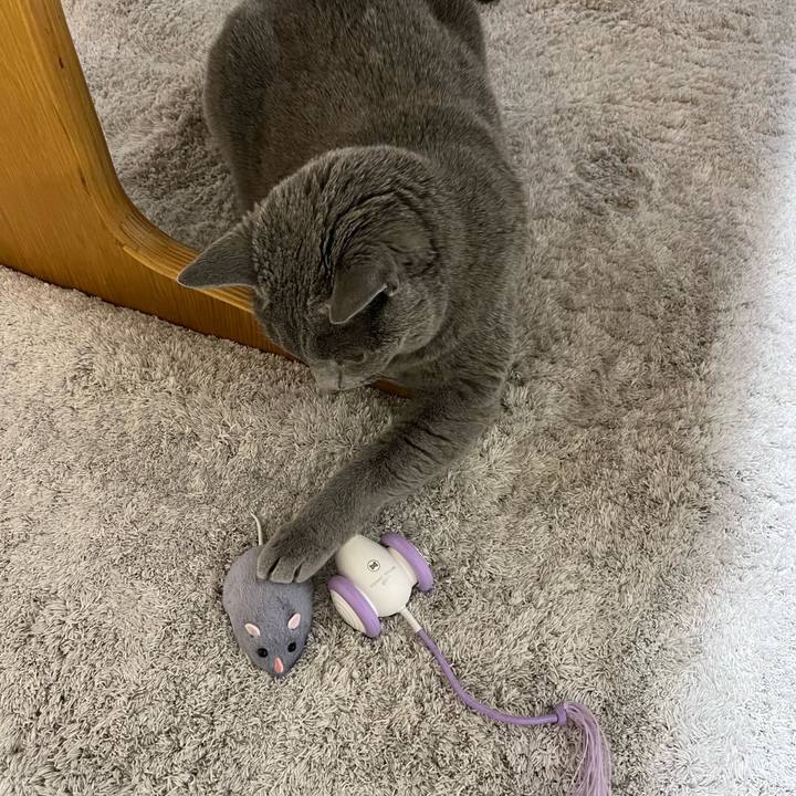 37974185 f202 437c 8e73 bd62fd51a023 1771937875955