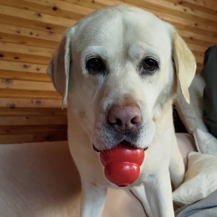 37974450 4931 4232 8196 f0738d82097c 1675309724913