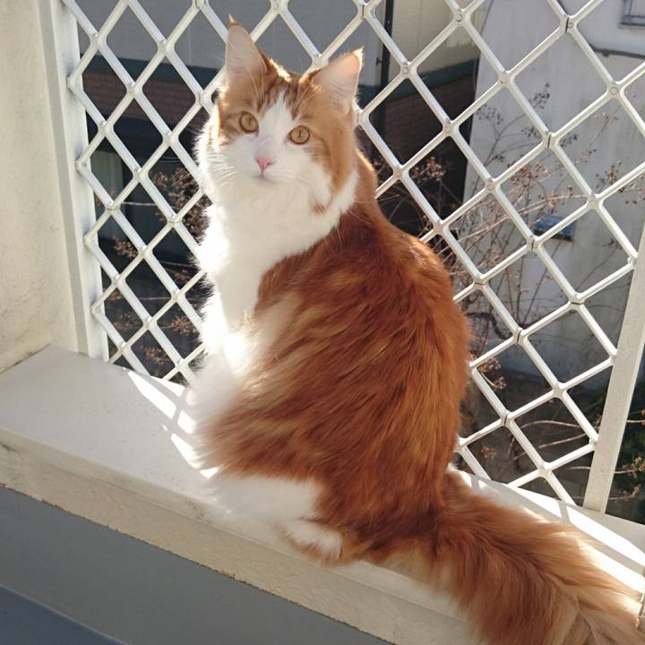 37977477 e21f 4666 ae3b a81c089ab95b 1515035642669